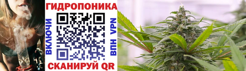 Бошки марихуана VHQ  Удомля 